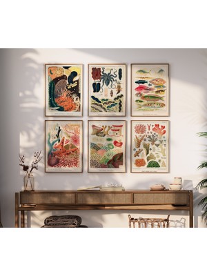 Ninastore 6'lı Kabuklu Deniz Hayvanı Baskısı Seti, Galeri Duvarı, Vintage Deniz Posterleri, Akvaryum Dekorasyo