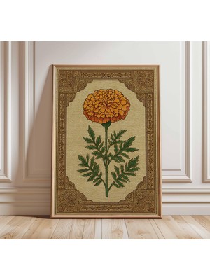 Ninastore Vintage Kadife Çiçeği Botanik Duvar Sanatı Baskısı Çiçek Illüstrasyonu Poster Antik Tarz Çiçek Sanat