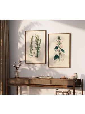 Ninastore 2'li Botanik Baskı Seti, 2'li Vintage Baskı Seti, 2'li Botanik Eğrelti Otu Baskı Seti, Modern Çiçek