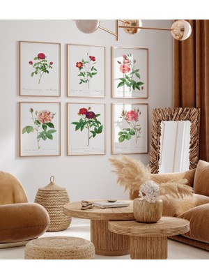 Ninastore 6'lı Botanik Baskı Seti, Vintage Çiçek Baskıları Seti, Botanik Çiçek Baskıları Seti, Trend Duvar San