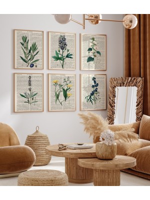 Ninastore 6'lı Botanik Baskı Seti, 6'lı Vintage Baskı Seti, 6'lı Botanik Eğrelti Otu Baskı Seti, Modern Çiçek