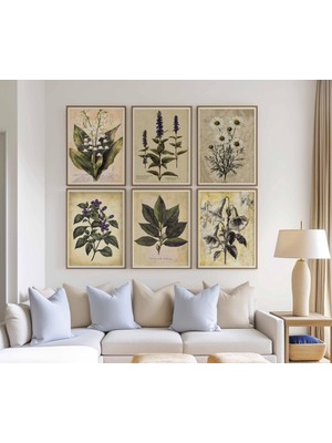 Ninastore 6 Parçalı Vintage Botanik Baskı Seti, Antika Yabani Çiçek Duvar Sanatı, Doğa Tarihi Çiçek Baskıları,