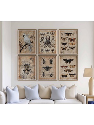 Ninastore 6 Parçalı Vintage Hayvan Baskısı Seti, Vintage Hayvan Posterleri, Hayvan Sanatı, Vintage Dekor, Gale