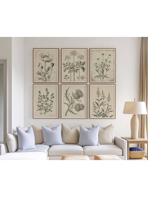 Ninastore 6 Parçalı Vintage Botanik Baskı Seti, Antika Yabani Çiçek Duvar Sanatı, Doğa Tarihi Çiçek Baskıları,