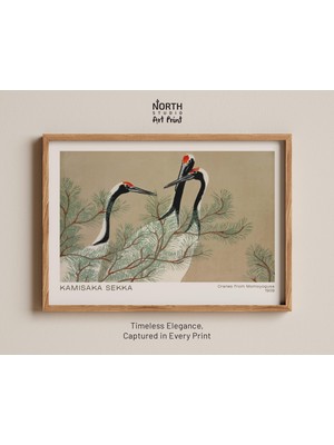 Ninastore Momoyogusa'dan Turnalar Baskısı Kamisaka Sekka Japon Sanat Baskısı Vintage Illüstrasyon 1909 Çam Kuş