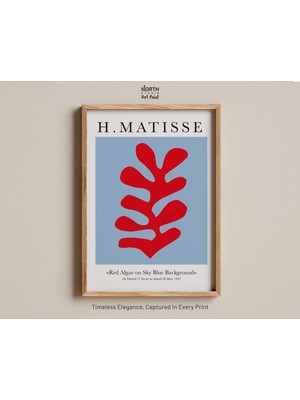 Ninastore Kırmızı Yosun Posteri, Henri Matisse Kesme Baskı, Gök Mavisi Arka Plan, Modern Soyut Şekil, 1953, Mi