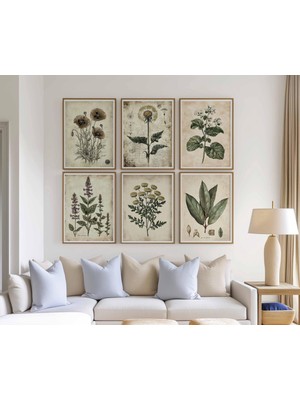 Ninastore 6 Parçalı Vintage Botanik Baskı Seti, Antika Yabani Çiçek Duvar Sanatı, Doğa Tarihi Çiçek Baskıları,