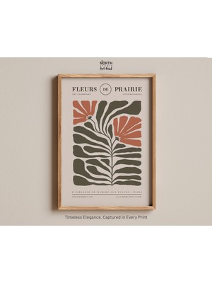 Ninastore Matisse Baskı Çiçek Sanatı Çiçek Illüstrasyonu Duvar Sanatı Bahçe Sanatı Botanik Baskı Çiçek Desenli