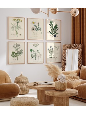 Ninastore 6'lı Botanik Baskı Seti, 6'lı Vintage Baskı Seti, 6'lı Botanik Eğrelti Otu Baskı Seti, Modern Çiçek