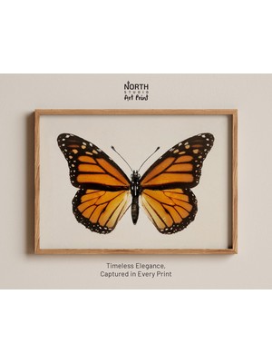 Ninastore Vintage Turuncu Kelebek Baskısı Koyu ve Hüzünlü Sanat Eseri Böcek Duvar Sanatı Güve Tablosu Vintage