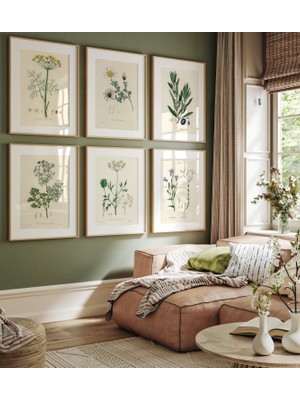 Ninastore 6'lı Botanik Baskı Seti, 6'lı Vintage Baskı Seti, 6'lı Botanik Eğrelti Otu Baskı Seti, Modern Çiçek