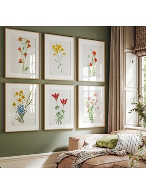 Ninastore 6'lı Botanik Baskı Seti, Vintage Baskı Seti, Botanik Çiçek Baskıları Seti, Modern Çiçek Baskı Seti,