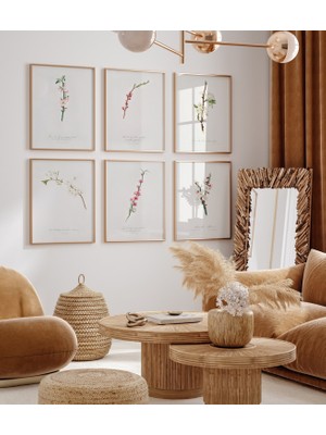 Ninastore 6'lı Botanik Baskı Seti, Vintage Baskı Seti, Botanik Eğrelti Otu Baskı Seti, Modern Çiçek Duvar Sana