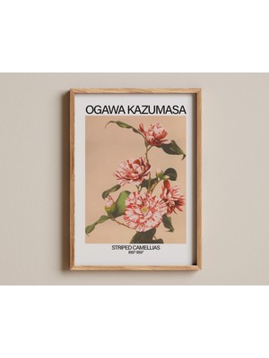 Ninastore Çizgili Kamelyalar Baskısı, Ogawa Kazumasa Tarafından Yapılmış, Elle Renklendirilmiş Japon Çiçek Çal