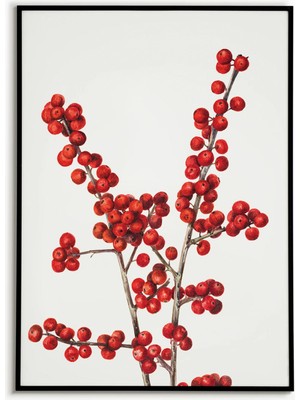Ninastore Kış Meyvesi Dalı Tablosu Poster Sanat Baskıları Duvar Sanatı Botanik Mevsimsel Sanat Doğa Botanik Kı