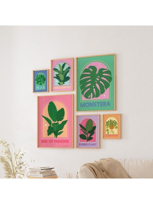 Ninastore 6 Adet Ev Bitkisi Baskısı Dijital Sanat Eseri Indirilebilir Soyut Renkli Ev Bitkileri Yazdırılabilir