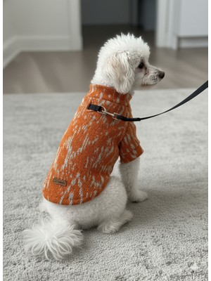 Feyza Design Mevsimlik Kedi ve Köpek Için Şık Triko, Sweat, Mont ve Yelek Seçenekleri