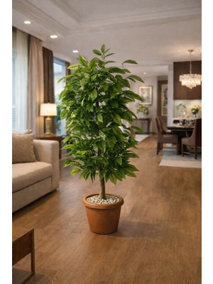 Altun Çiçekcilik Ceviz Ağacı Yaprağı 150 cm Kahverengi Saksı Dahil