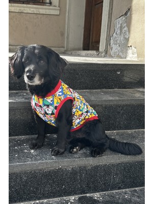 Feyza Design Yazlık Rahat Tişört, Günlük ve Spor Şıklığı Için Mükemmel Seçenek