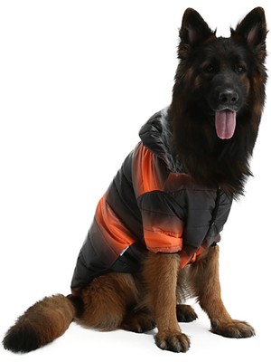 Feyza Design Renkli ve Şık Büyük Irk Köpek Yağmurluğu, Konforlu ve Dayanıklı Tasarım