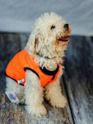 Feyza Design Su Geçirmez Köpek Ceket, Rüzgar Koruyucu Yumuşak Mont