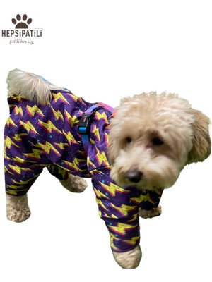 Feyza Design Renkli Küçük Irk Köpek Yağmurluk Tulumu, Hafif ve Rahat Tasarım