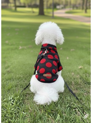 Feyza Design Mevsimlik Kedi ve Köpek Triko Kazak, Sweat, Mont, Yelek Seti