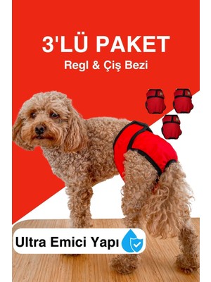 Feyza Design Konforlu 3'lü Köpek Regl Külodu ve Çiş Bezi Seti, Rahat ve Kullanışlı