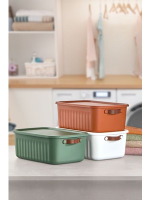 PremiumPort 3'lü 10 Lt Plastik Saklama Kutusu Seti, Renkli ve Dayanıklı Düzenleyici