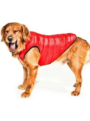 Feyza Design Çift Taraflı Orta ve Büyük Irk Köpek Mont, Kırmızı ve Mavi Renk Seçenekleri