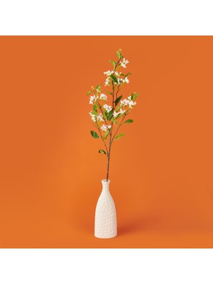 Matmel Filbahri Limon Çiçeği - Beyaz - 95 cm