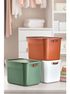 PremiumPort 3'lü 15LT Plastik Saklama Kutusu Seti, Renkli ve Şık Depolama Çözümü