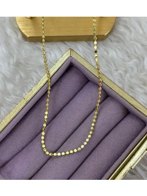 Septemmart Lüks Dorika Tasarım Pullu Zincir Kolye Kararmaz Paslanmaz Çelik Kadın Kolye