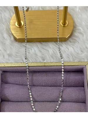 Septemmart Lüks Gümüş Renk Pullu Zincir Kolye Kararmaz Paslanmaz Çelik Kadın Kolye