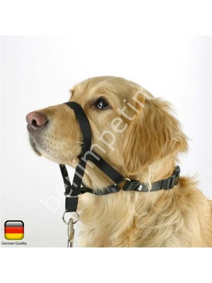 Feyza Design Köpek Eğitim Tasması Maxi Coach 38 Cm, Güçlü ve Konforlu Tasarım