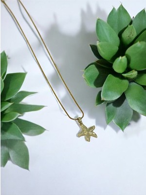 Mac Center Deniz Yıldızı Detaylı Çelik Kadın Kolye-Bayan Kolye -Kadın Kolye -Çelik Kolye-Hediye Paketli