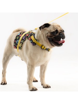 Feyza Design Ayarlanabilir Küçük Irk Köpek Göğüs ve Gezdirme Ipi Seti