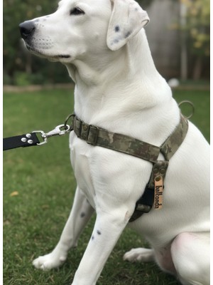 Feyza Design Ayarlanabilir Orta ve Büyük Irk Köpek Göğüs Tasması, 2,5 cm Genişlik