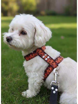 Feyza Design Minik ve Küçük Irk Köpekler Için Ayarlanabilir H Tipi Göğüs Tasması