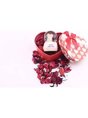 PremiumPort Sevgiliye Özel Günlere Hediye Kalp Kutuda Sarılan Çiftler Mini Kar Küresi