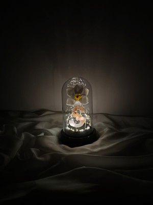 PremiumPort Şık Ledli S Harfli ve Nergis Çiçekli Teraryum Fanusu