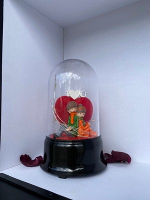 PremiumPort Şık LED Aydınlatmalı Cam Fanus, Dekoratif ve Parlak Görünüm