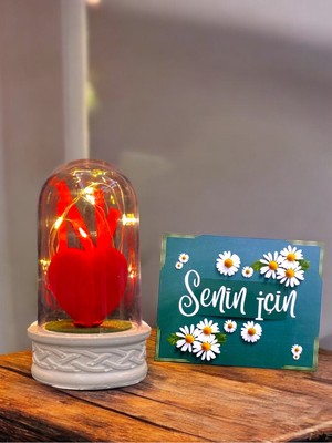 PremiumPort Kırmızı Kalpli LED Fanus, Sevgiliye Özel Doğum Günü Hediye