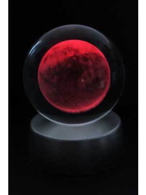 PremiumPort Elma Temalı Şeffaf Cam Küre, Zarif ve Şık Dekoratif Parça