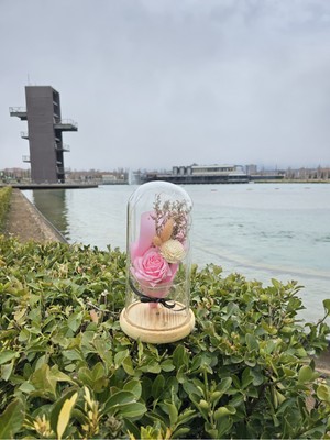 PremiumPort Pembe Gül Buketi Cam Fanus, Sevgi Dolu Hediye, Özel Anlar Için Mükemmel