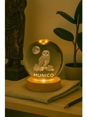 PremiumPort Büyük Boy Baykuş Tasarımlı Işıklı Cam Küre, Ahşap Tabanlı Estetik Dekor