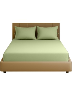 Sabia Soft Touch %100 Pamuk 62 Tel 160X200 cm +37 cm Yüksekliğe Kadar Uygun Çift Kişilik Lastikli Çarşaf Seti Zeytin