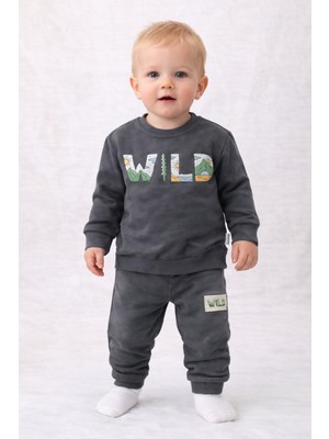 Füme Renkli Bebek Takım Babycoy