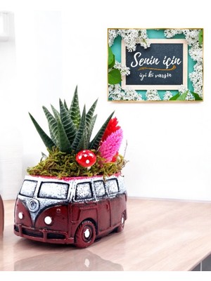 PremiumPort Bordo Vosvos Sukulent Çiçekli Aranjman ve Hediye Kartı Seti