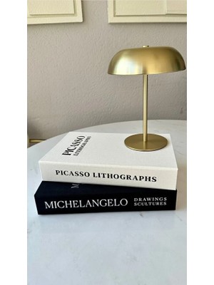 Kumaş Kaplı 2'li Dekoratif Kitap Kutu  ( Michelangelo-Picasso)